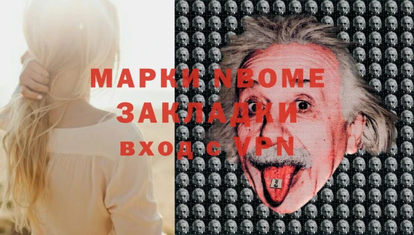 индика Алзамай