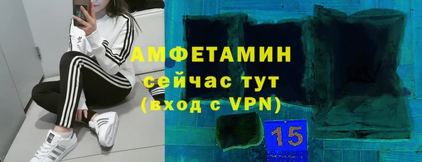 индика Алзамай