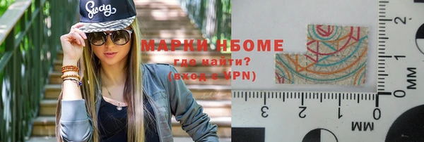 индика Алзамай