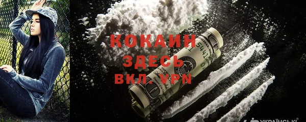 дмт Новодвинск
