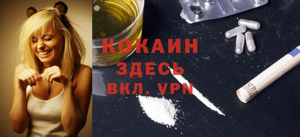 индика Алзамай