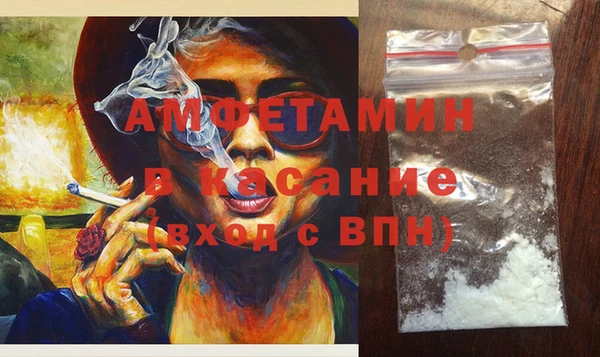индика Алзамай